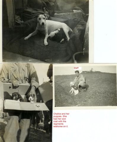 13452=1483 36th Engs2 13452=1483 36th Engs2