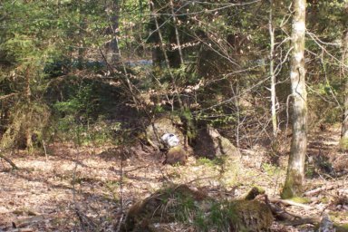 14847=1732 Barenthal