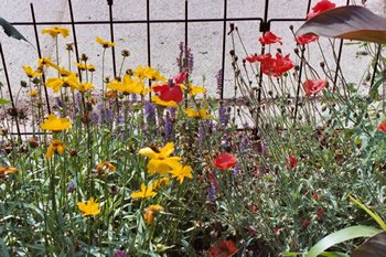 15461=1843 flowers2004 15461=1843 flowers2004