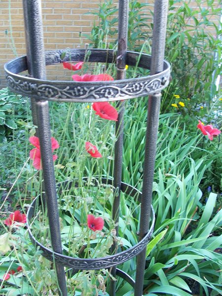 15461=1848 flowers 014 15461=1848 flowers 014