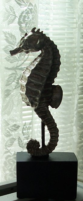 1790=1258 SeahorseFromFallon