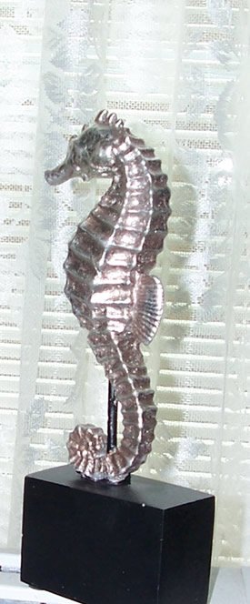 1790=1259 SeahorseFromFallon2