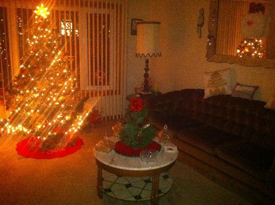 21831=3683 Jim  s Christmas tree