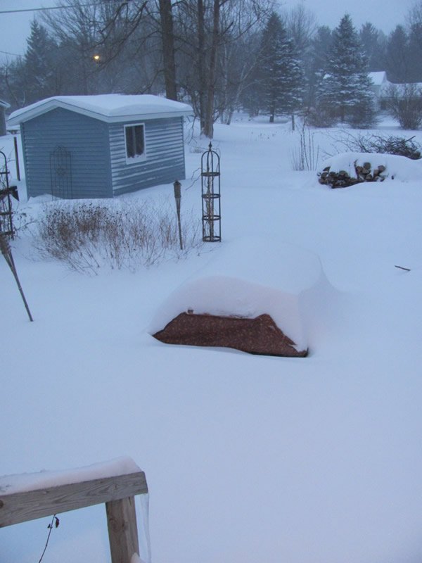 22160=3746 Snowstorm4