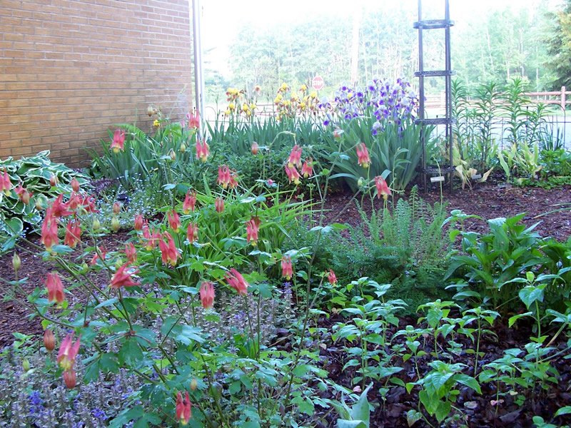 2373=1841 100 0868 2373=1841 100 0868