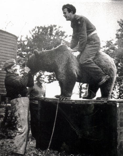 3649=3737 Voytek2L 468x593